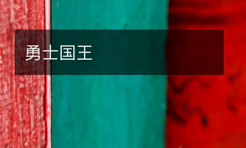 勇士国王